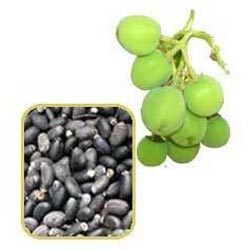 Manufacturers Exporters and Wholesale Suppliers of Fruit Seeds Pune Maharashtra